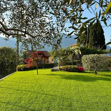 Apartamento Ocra